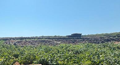 Terreni edificabili località Barone - Pantelleria