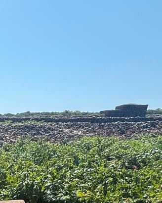 Terreni edificabili località Barone - Pantelleria