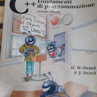 libro C++. Fondamenti di programmazione Apogeo