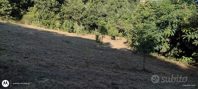 Terreno agricolo con enfiteusi
