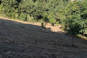 Terreno agricolo con enfiteusi