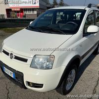 FIAT Panda 1.3 MJT 16V 4x4