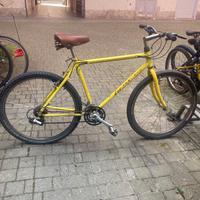 Bici mtb gialla OLMO