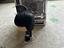 Immagine 6
