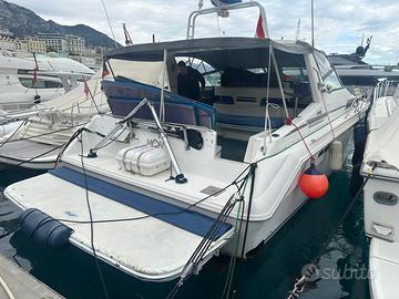 barca SeaRay 420