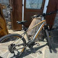 E-bike bottecchia kripton