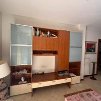 Mobile Salotto in legno con ante in vetro satinato