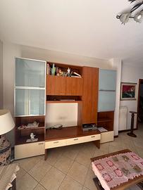 Mobile Salotto in legno con ante in vetro satinato