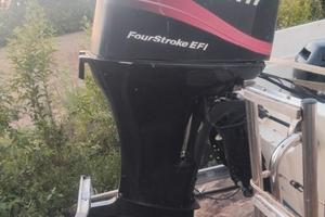 ricambi Mercury 40 60 cv efi 