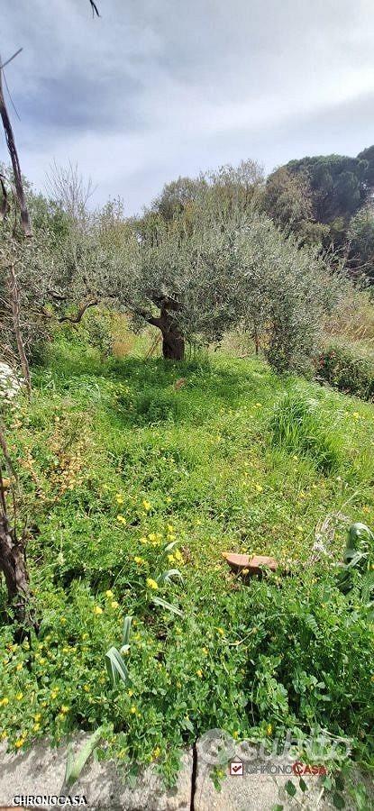 Rometta, funzionale terreno agricolo terrazzato - Vista 5