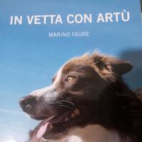 in Vetta con Artù 