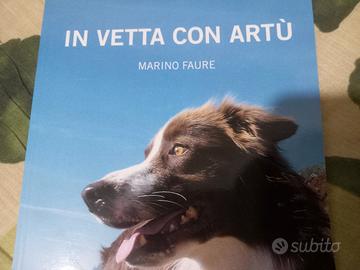 in Vetta con Artù 