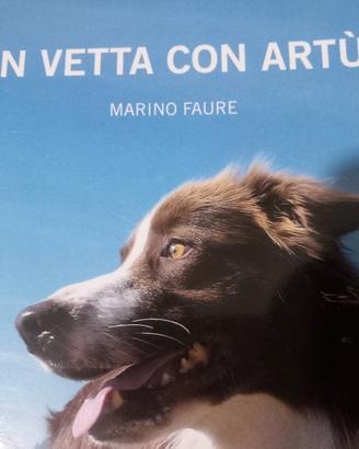 in Vetta con Artù 