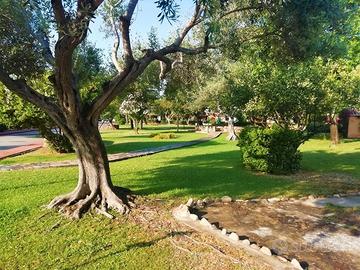 400 euro 6/13 settembre e dopo il 20 settembre