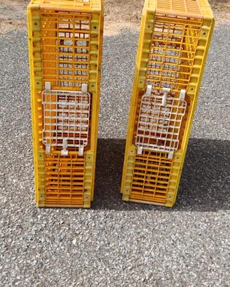 Gabbia  gabbie discrete condizioni