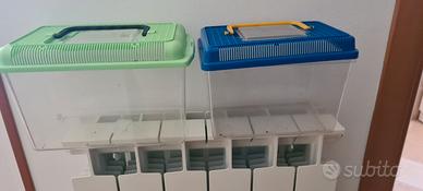 vaschette per pesci rossi 