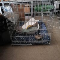 Gabbia di trasporto per Cuccioli per Cani