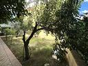 villa-a-schiera-a-canosa-di-puglia