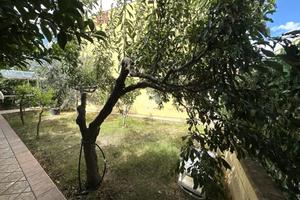 VILLA A SCHIERA A CANOSA DI PUGLIA