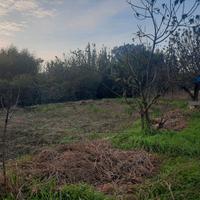 Terreno agricolo vendita