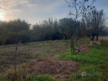 Terreno agricolo vendita