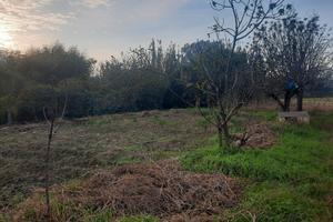 Terreno agricolo vendita