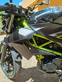 kawasaki z125 2021