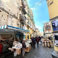 Negozio Napoli [Cod. rif 3279924VCG]