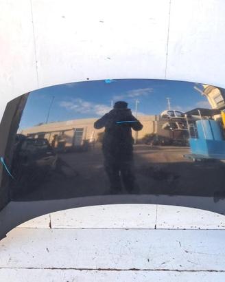 651000036R COFANO ANTERIORE RENAULT SCENIC III (J9