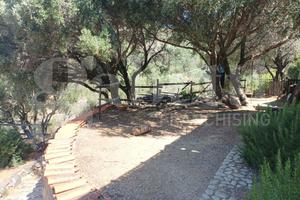 Appartamento Quartu Sant'Elena