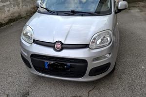FIAT Panda 3ª serie - 2016