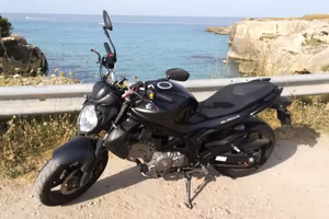 Suzuki gladius 650 abs
