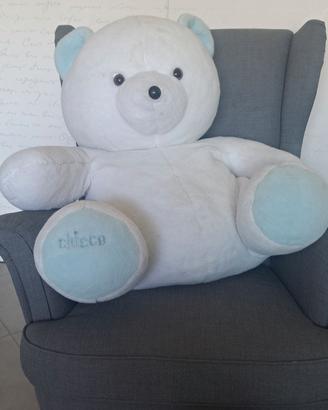 orsacchiotto gigante chicco