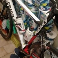 bici da corsa Ridley in carbonio