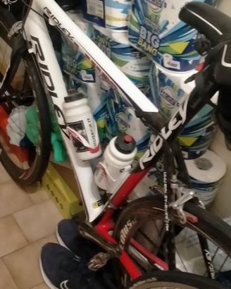 bici da corsa Ridley in carbonio
