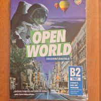 Libro di inglese  OPEN WORLD 
