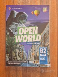 Libro di inglese  OPEN WORLD 