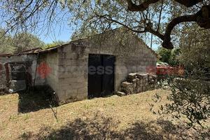 Cantina Fondi [V259VRG]