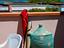 Immagine 16