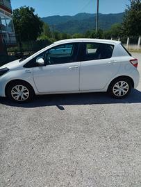 Yaris Hybrid 2020