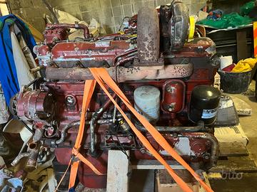 Motore fiat 8060.24