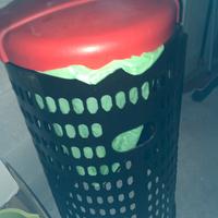 Bidone differenziata