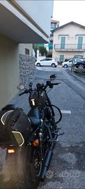 883 harley davidson 