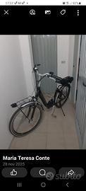 Bicicletta elettrica