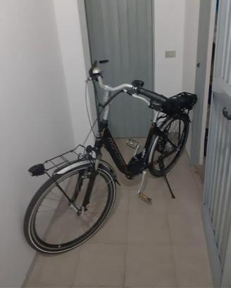 Bicicletta elettrica