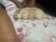 Immagine 3