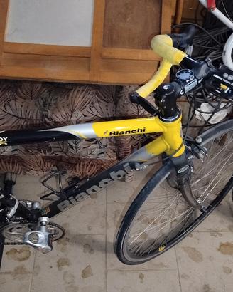 Bianchi da corsa