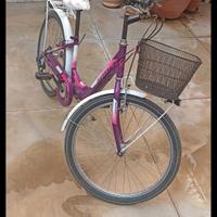bicicletta da ragazza raggio 24