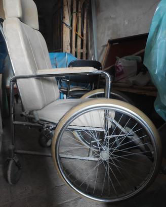 Sedia a rotelle