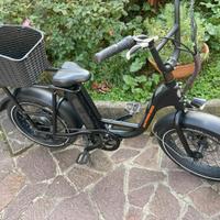 E-Bike Rad Power RadRunner – Ottime condizion!
